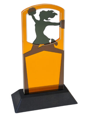 Sport Award | Cheerleading-Women's