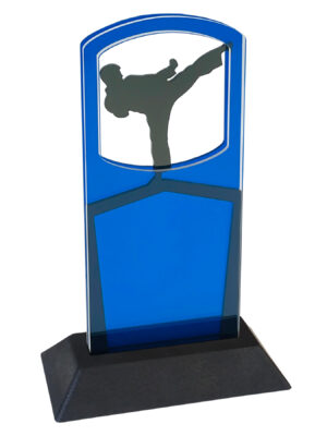 Sport Award | Martial Arts-Men's